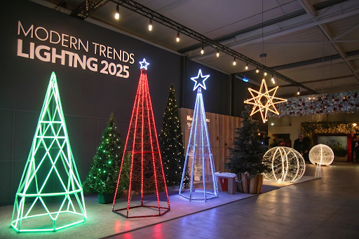 christmas-light-installation-washington